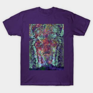 Coming Apart At The Seams T-Shirt